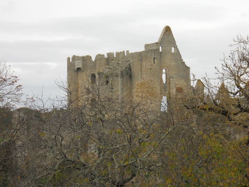 Angle-sur-l'Anglin Château