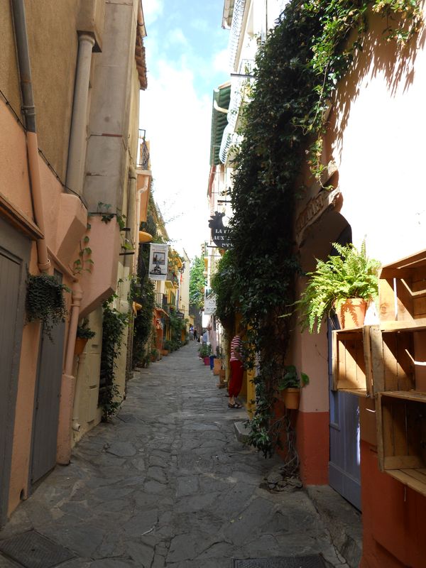 Vieille rue de Collioure