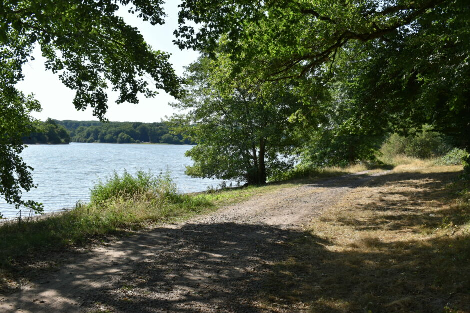 LES CHEMINS DE MUSARDE