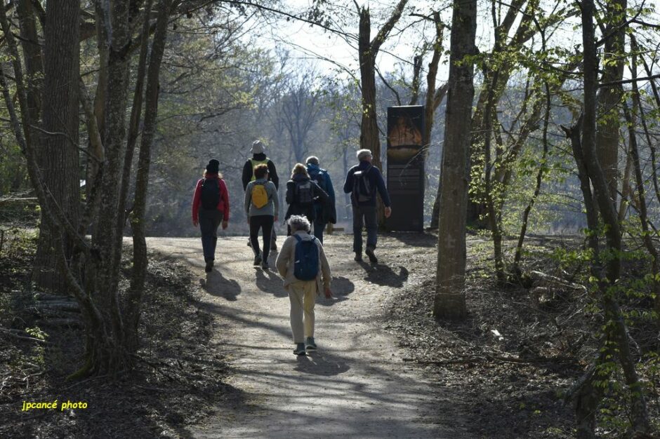 LES CHEMINS DE MUSARDE