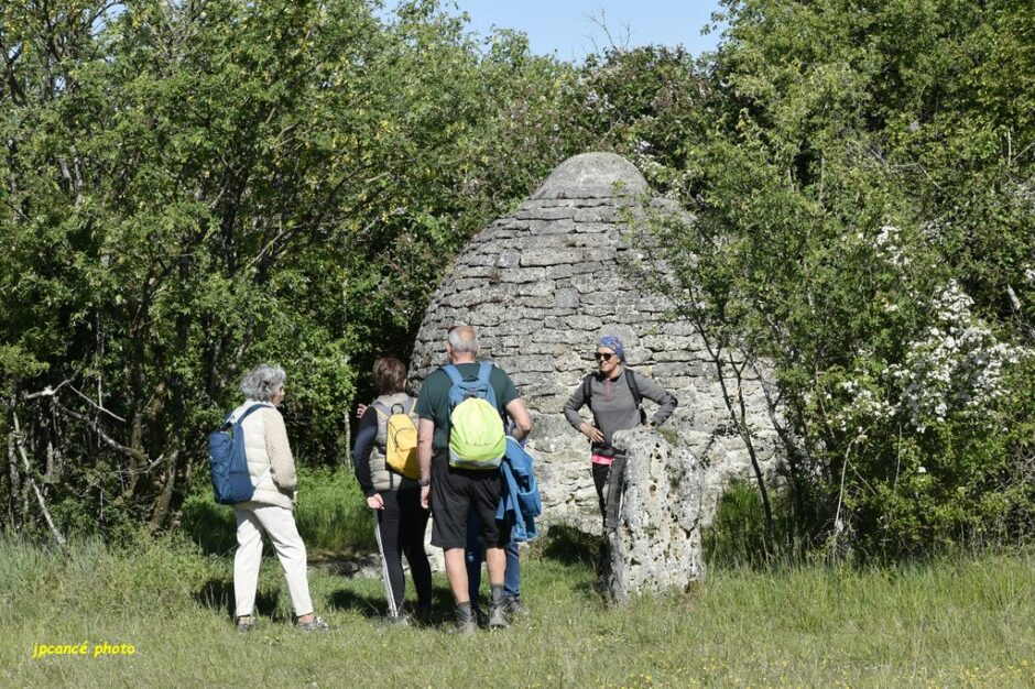 LES CHEMINS DE MUSARDE