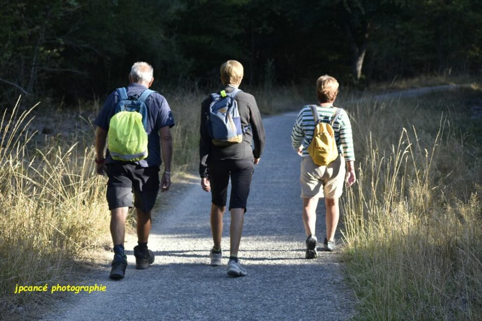 LES CHEMINS DE MUSARDE