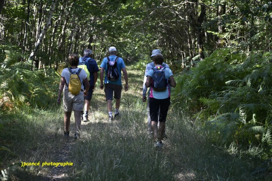 LES CHEMINS DE MUSARDE